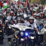 bela palestina (3)